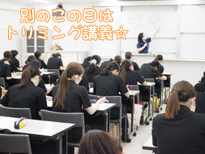 動物が好きだから…？